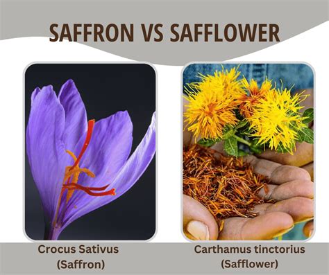 is safflower the same as saffron